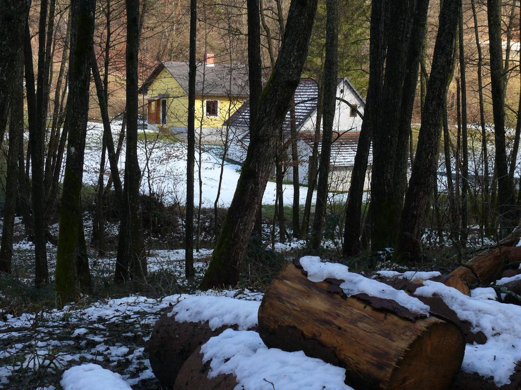 Ferienhaus Dreilaendereck Minihof Liebau Exterior foto